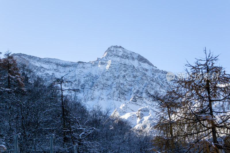 四川阿坝州黄龙景区冬日雪山胜景