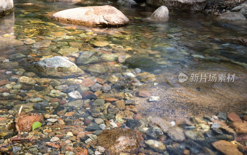 户外大山里流淌的活水潭溪