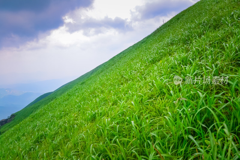 江西武功山高山草甸