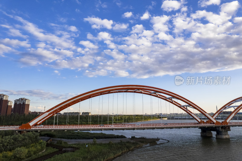 天津滨海生态城永定新河彩虹大桥城市风光