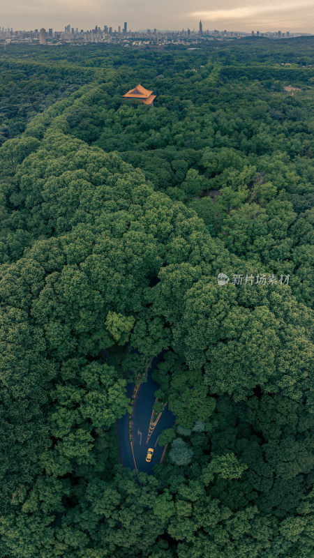 航拍南京紫金山茂密树林中的古建筑