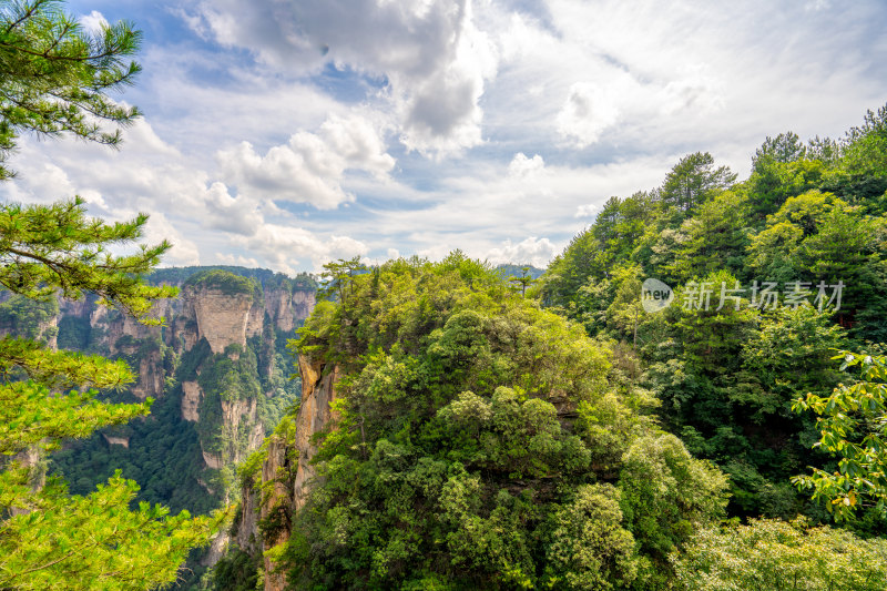 中国湖南张家界景区奇特山峰与茂密森林