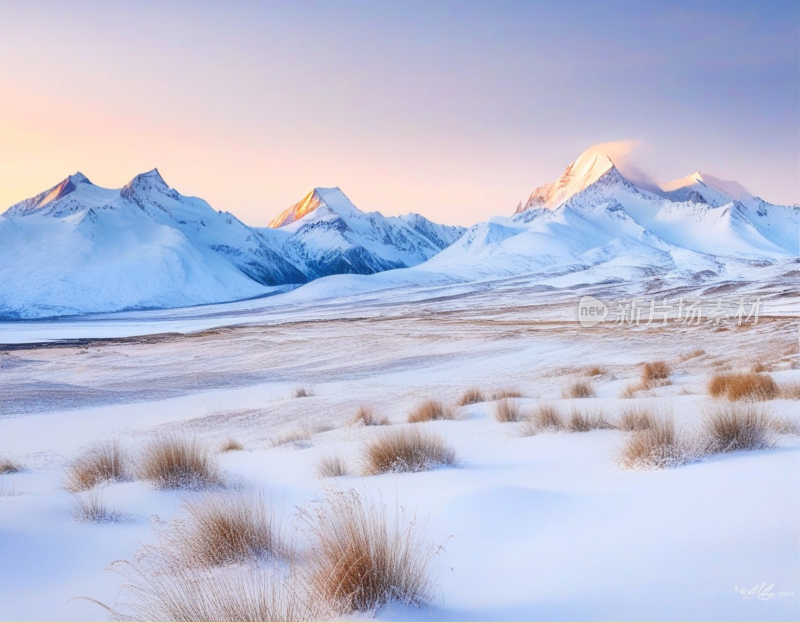 高山雪地