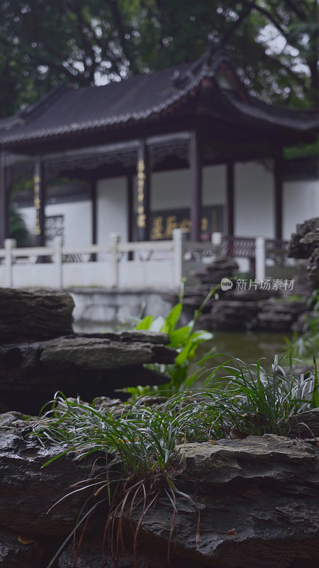 园博园雨天江南园林建筑雨天氛围竖构图