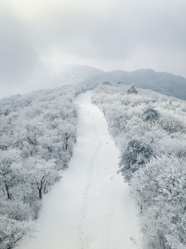 天目山脉龙王山雾凇雪景云雾航拍