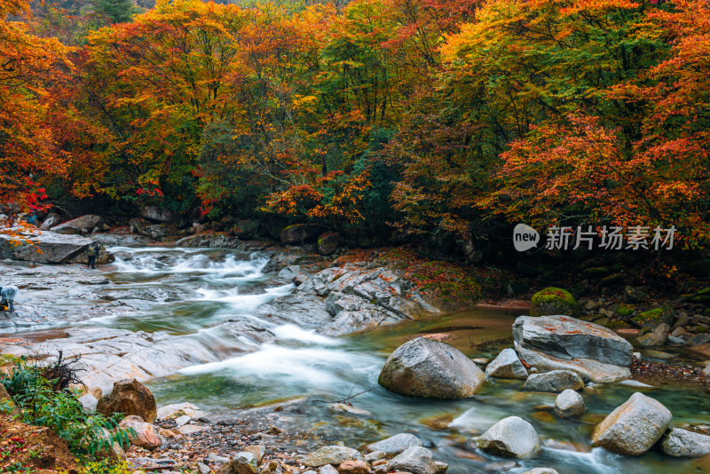 四川光雾山溪流风光