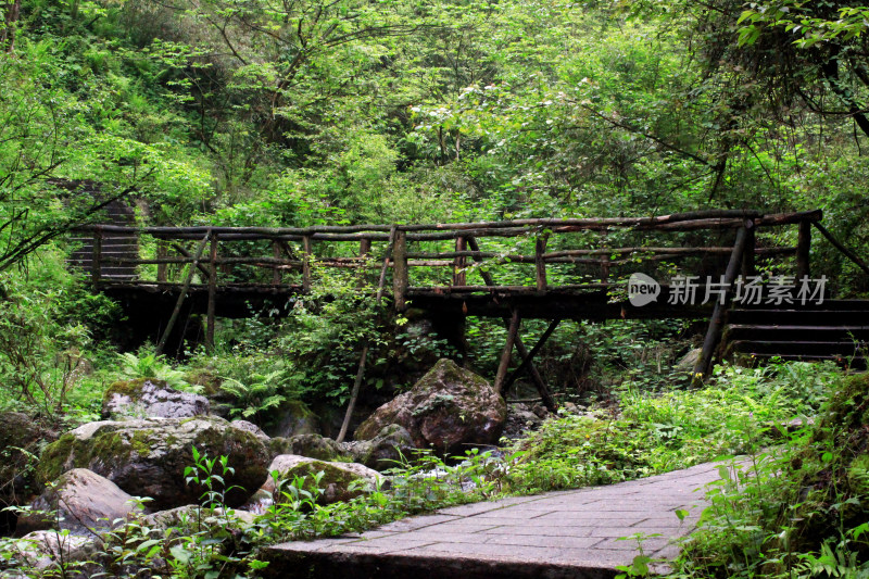 西岭雪山大飞水