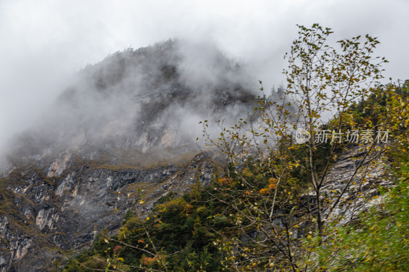 秋天树林云雾山峰