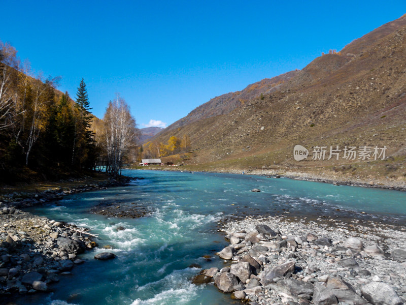 喀纳斯河风景