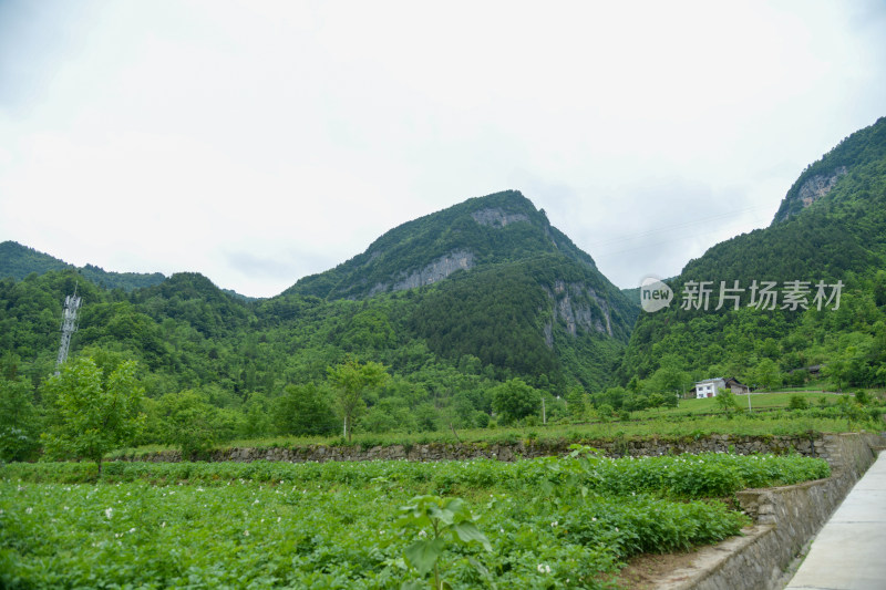 山间田园水泥路风景