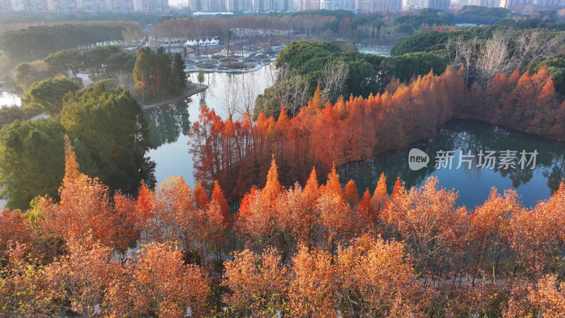 湖边红叶树木环绕的秋景