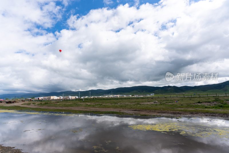 青海湖美景