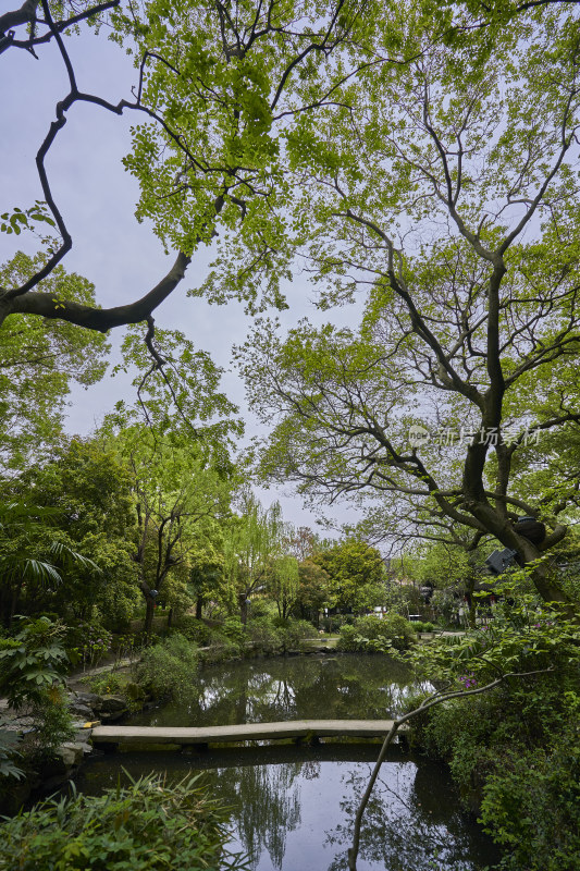 浙江绍兴沈园