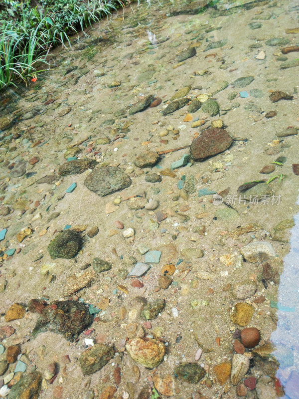 水底多彩石头及岸边水草