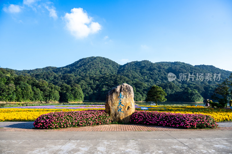 从化石门森林公园天池花海