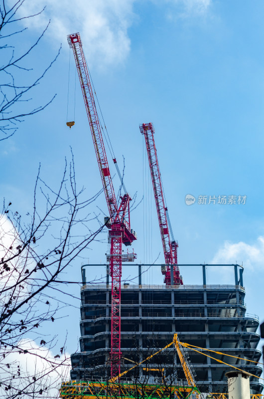 上海新建高楼的城市风光