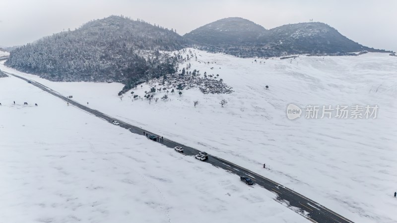 重庆酉阳：大雪纷飞赏雪忙