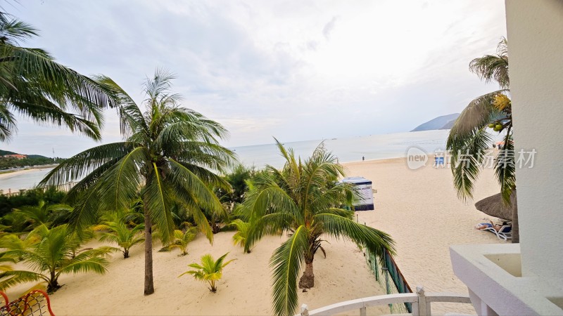 三亚大东海海滩边的棕榈树与沙滩景观