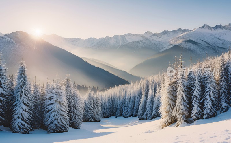 冬季森林白雪覆盖风景