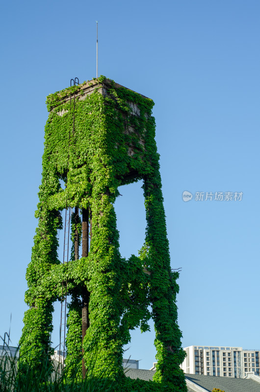 青岛纺织谷爬满绿植的老式水塔