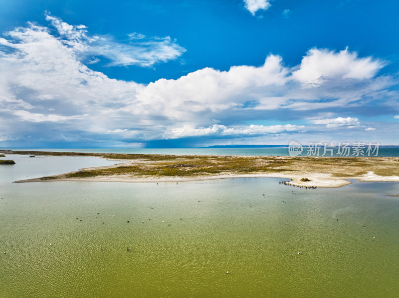 新疆乌伦古湖候鸟湿地保护区