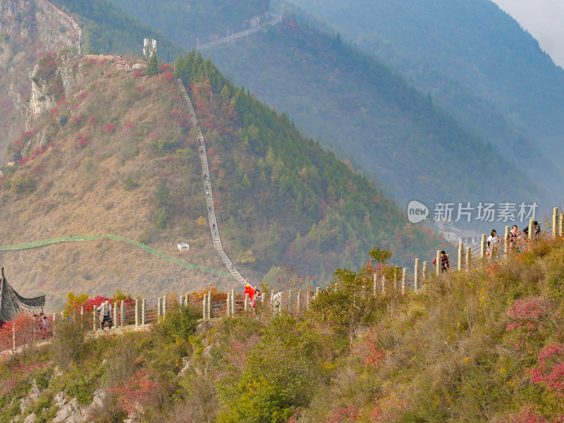 长江三峡巫峡红叶