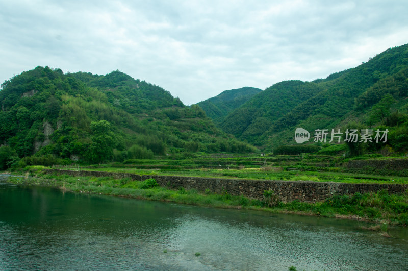 山中的自然风景