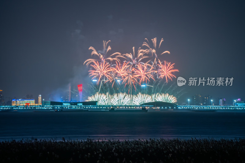 新年夜空中绽放的烟火