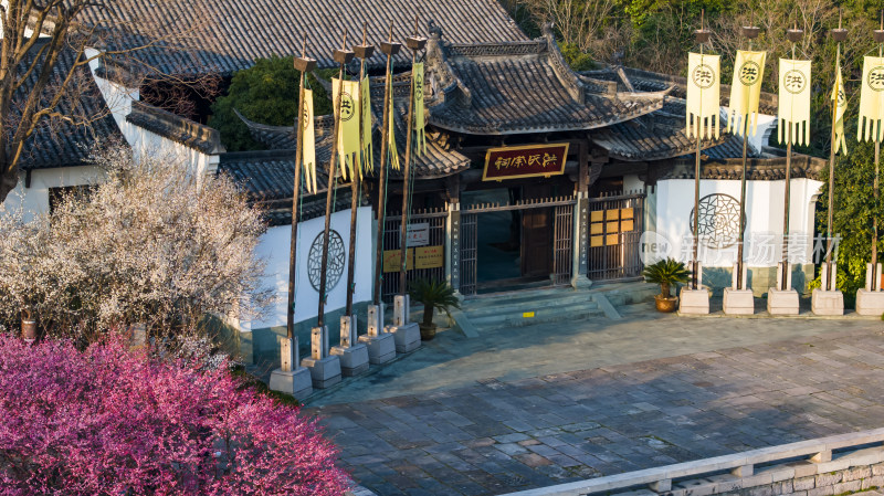 杭州西溪湿地洪园梅花盛开航拍