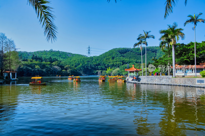 深圳仙湖植物园湖泊游船与碧绿树林