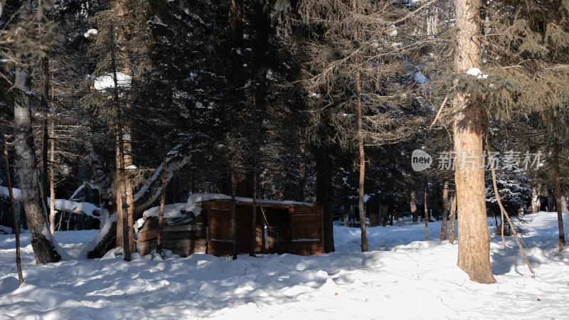 新疆森林小木屋雪景