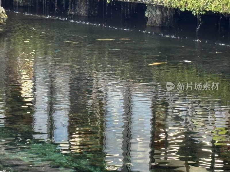 清澈水面倒影斑驳的自然水景