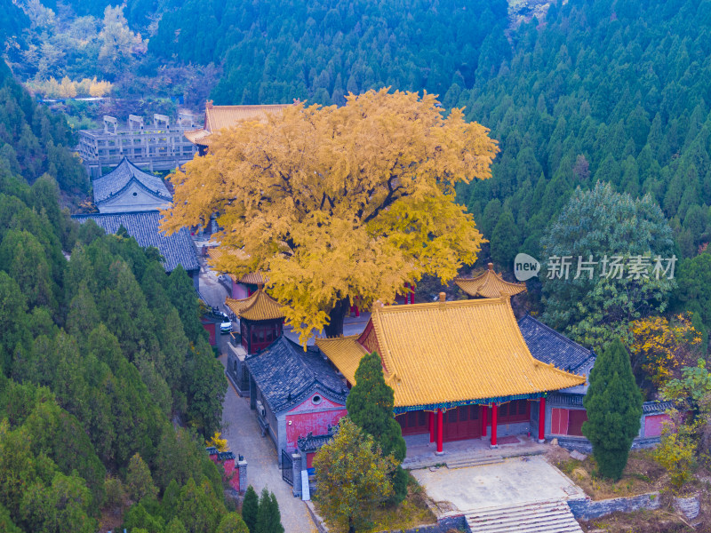 山东济南淌豆寺秋天航拍