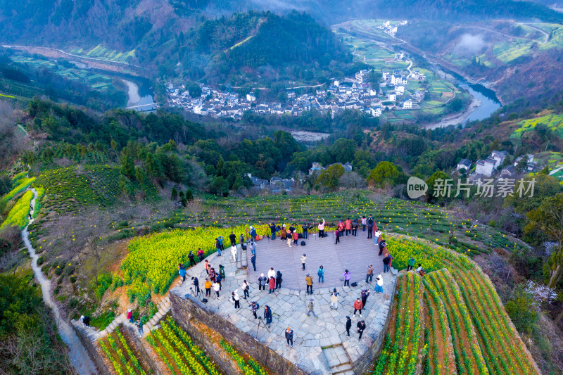 中国徽派建筑油菜花田