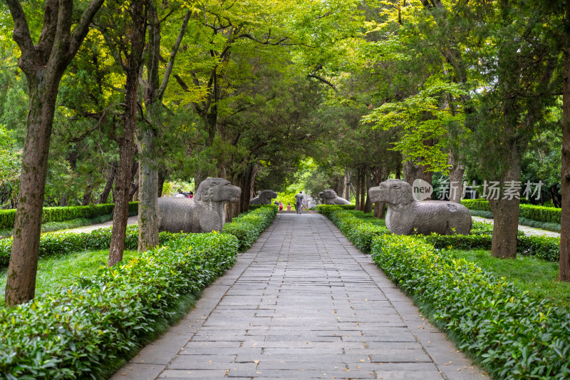 南京钟山明孝陵景区石像路夏季