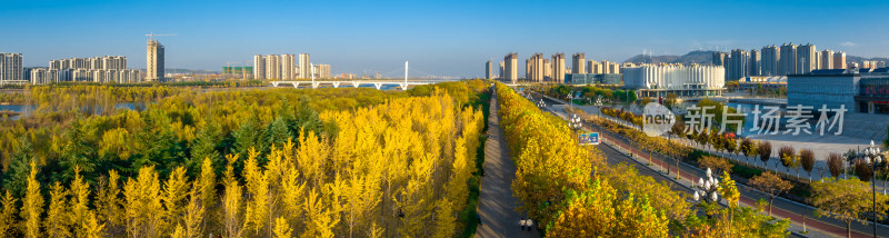 自然风景城市背景金色秋天河流建筑楼房