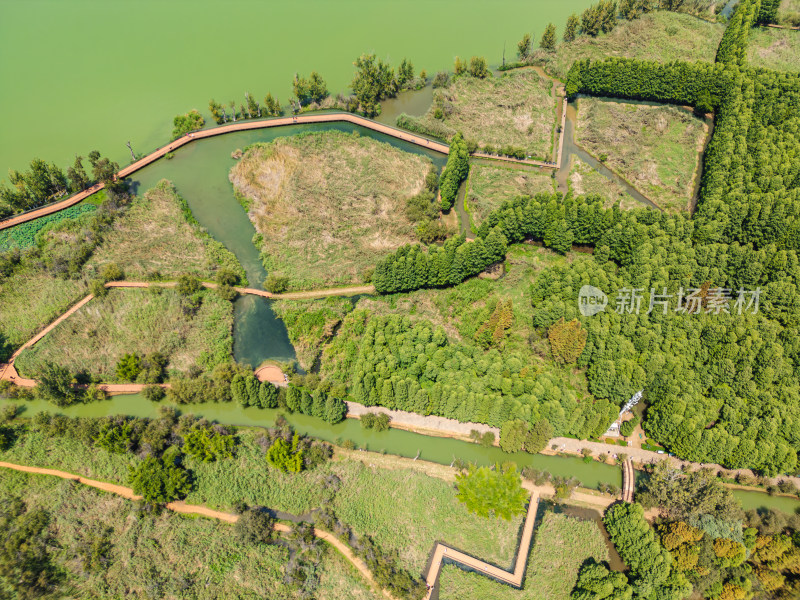 航拍昆明滇池捞鱼河湿地公园景观