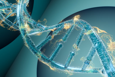 透明DNA与金色发散线条 三维渲染