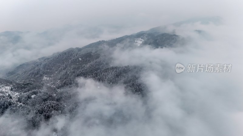 重庆酉阳：大雪纷飞赏雪忙