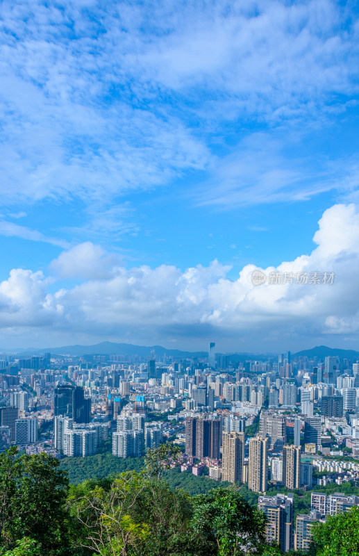 深圳南山公园望CBD摩天大楼繁华都市风光