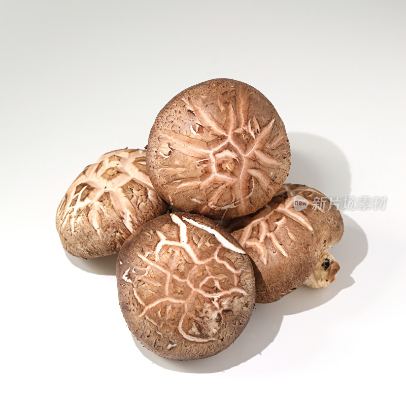 新鲜食材香菇的白底图