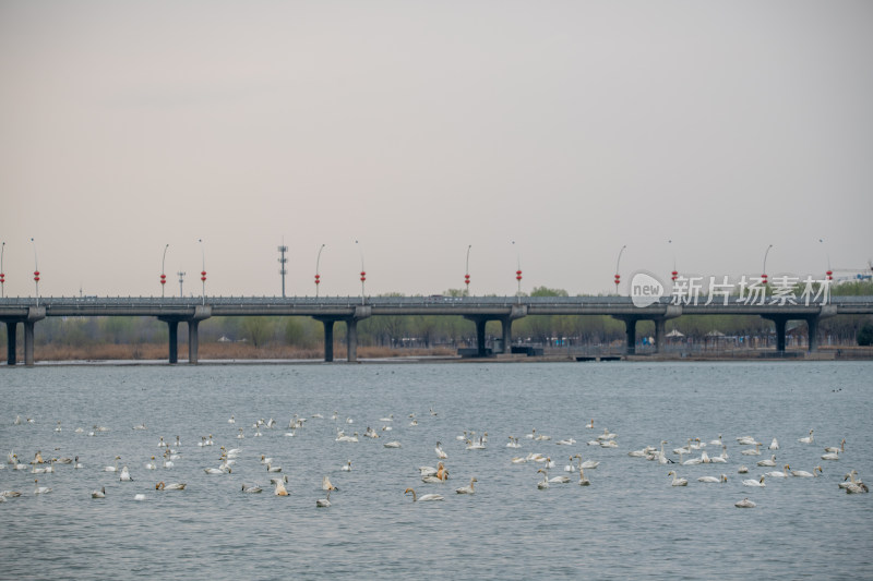 滹沱河正定新区全景风光