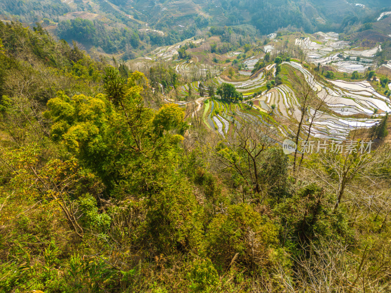 航拍红河州元阳梯田自然风光