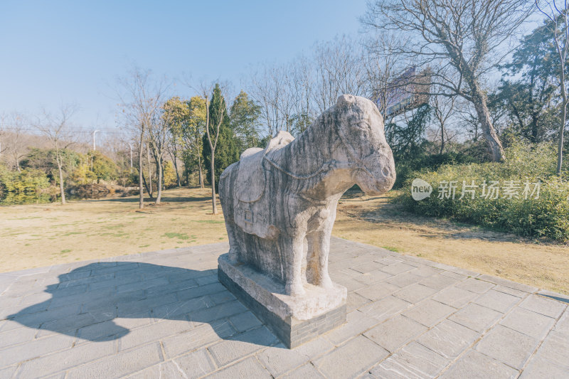 南京下马坊遗址公园景点-明代石马