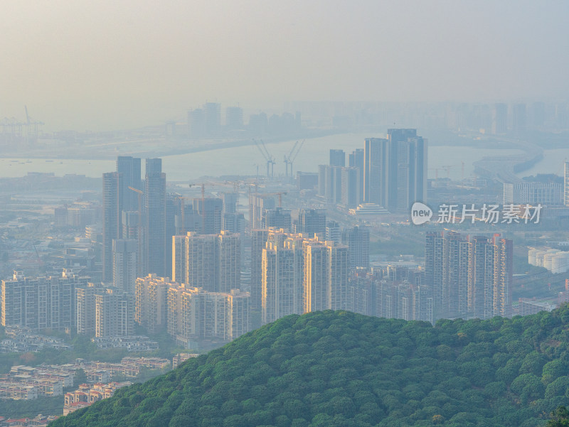 广东深圳南山雾天城市天际线