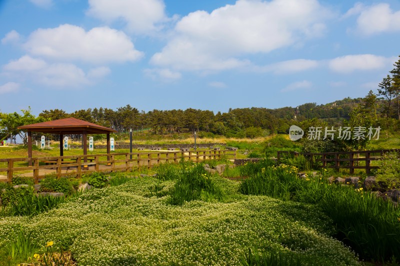 韩国济州岛独立岩