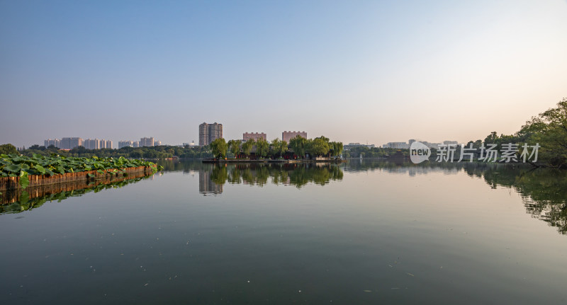 山东济南大明湖风景区自然景观与城市风光