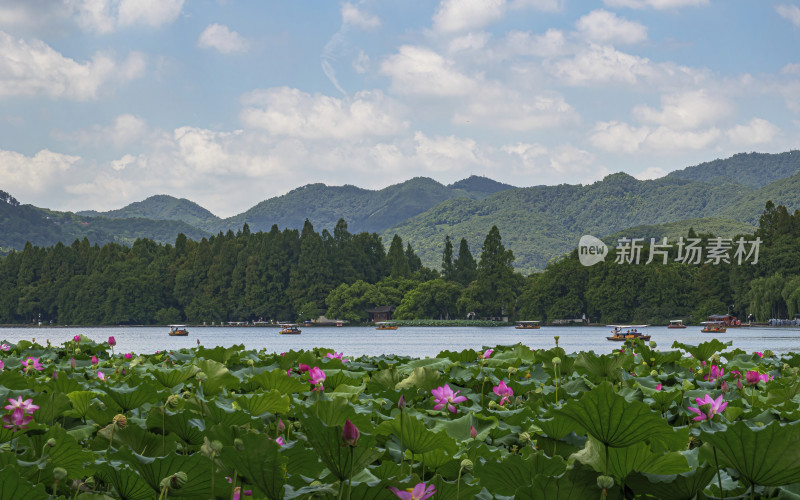 浙江省杭州市西湖景区