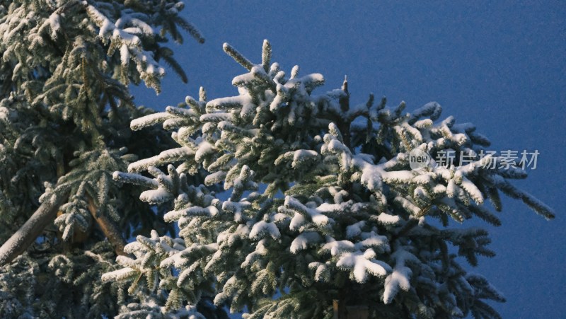 川西雪山雪景氛围感