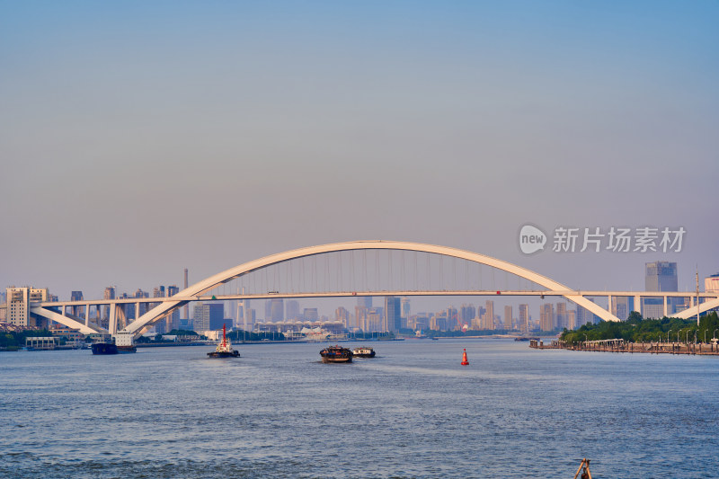 上海的卢浦大桥